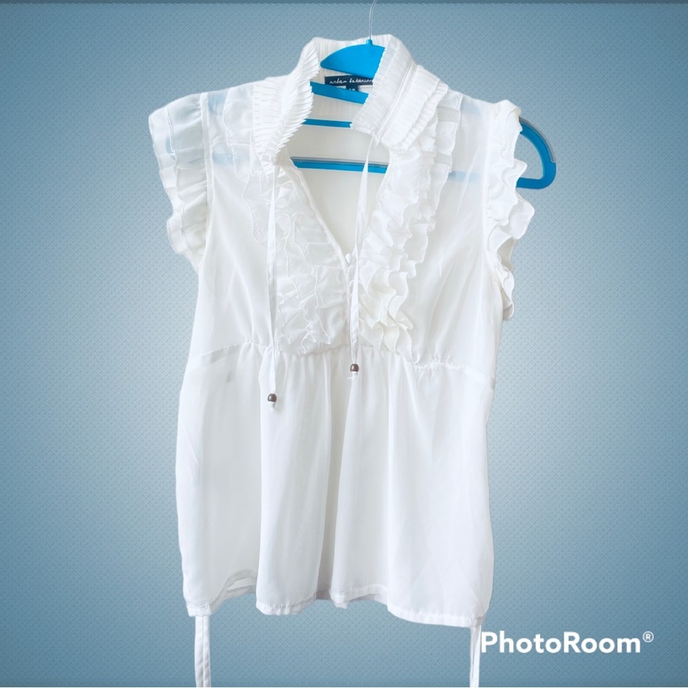 🦋 2 for $25 U.B Sheer Ruffly Blouse SM Light Academia